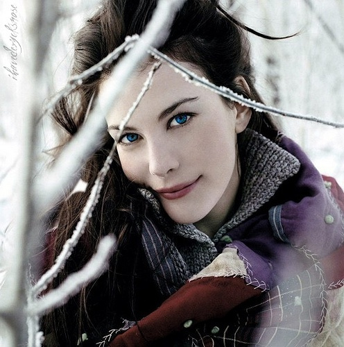 影人专题电影：丽芙·泰勒28部电影合集，电影截图+资源.Liv.Tyler.1994-2014.Movies.Collection.Pack