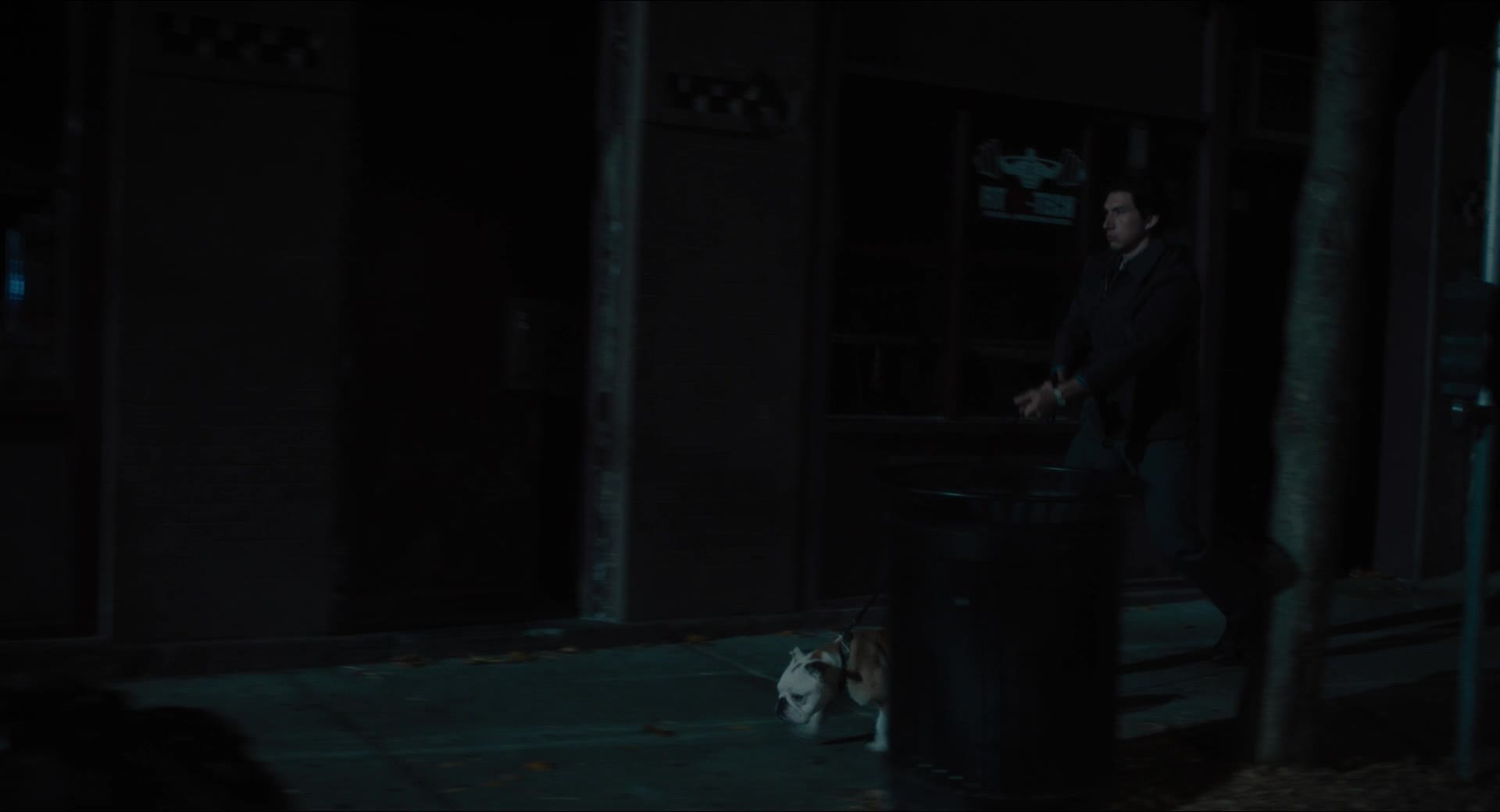 2016年 帕特森 又名: 派特森 蓝光电影下载 [主演: 亚当·德赖弗 / 格什菲·法拉哈尼]