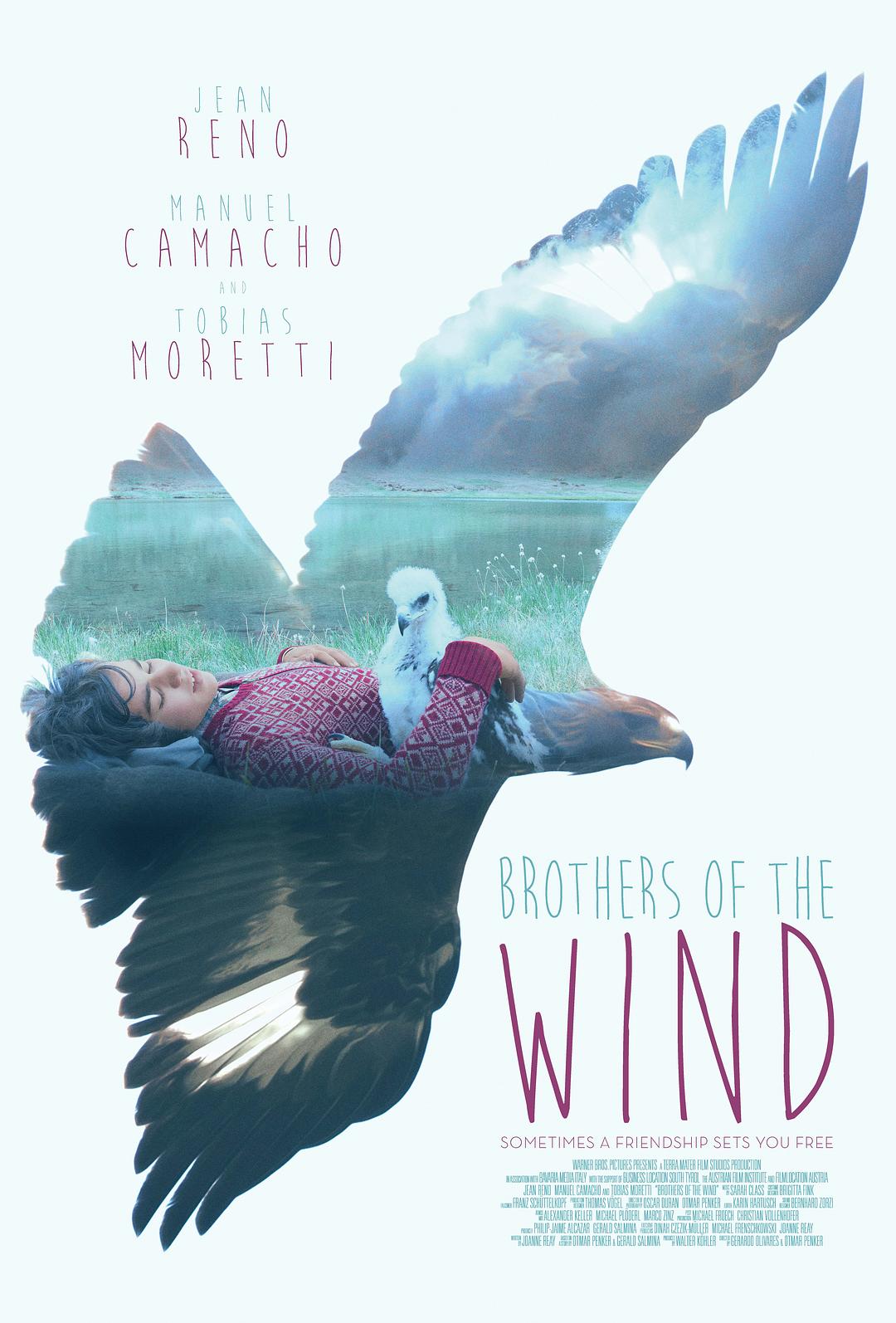 追鹰日记 蓝光原盘下载+高清MKV版/鹰之路 / L'Aigle et l'Enfant / The Way of the Eagle 2015 Brothers of the Wind 22.9G