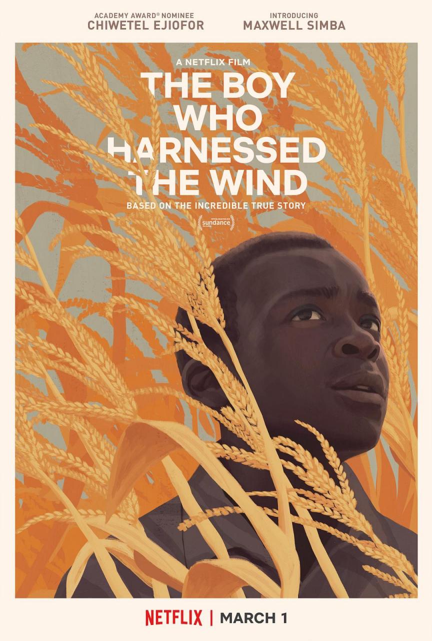 驭风男孩 WEB-DL版下载 2019 The Boy Who Harnessed the Wind 6.5G