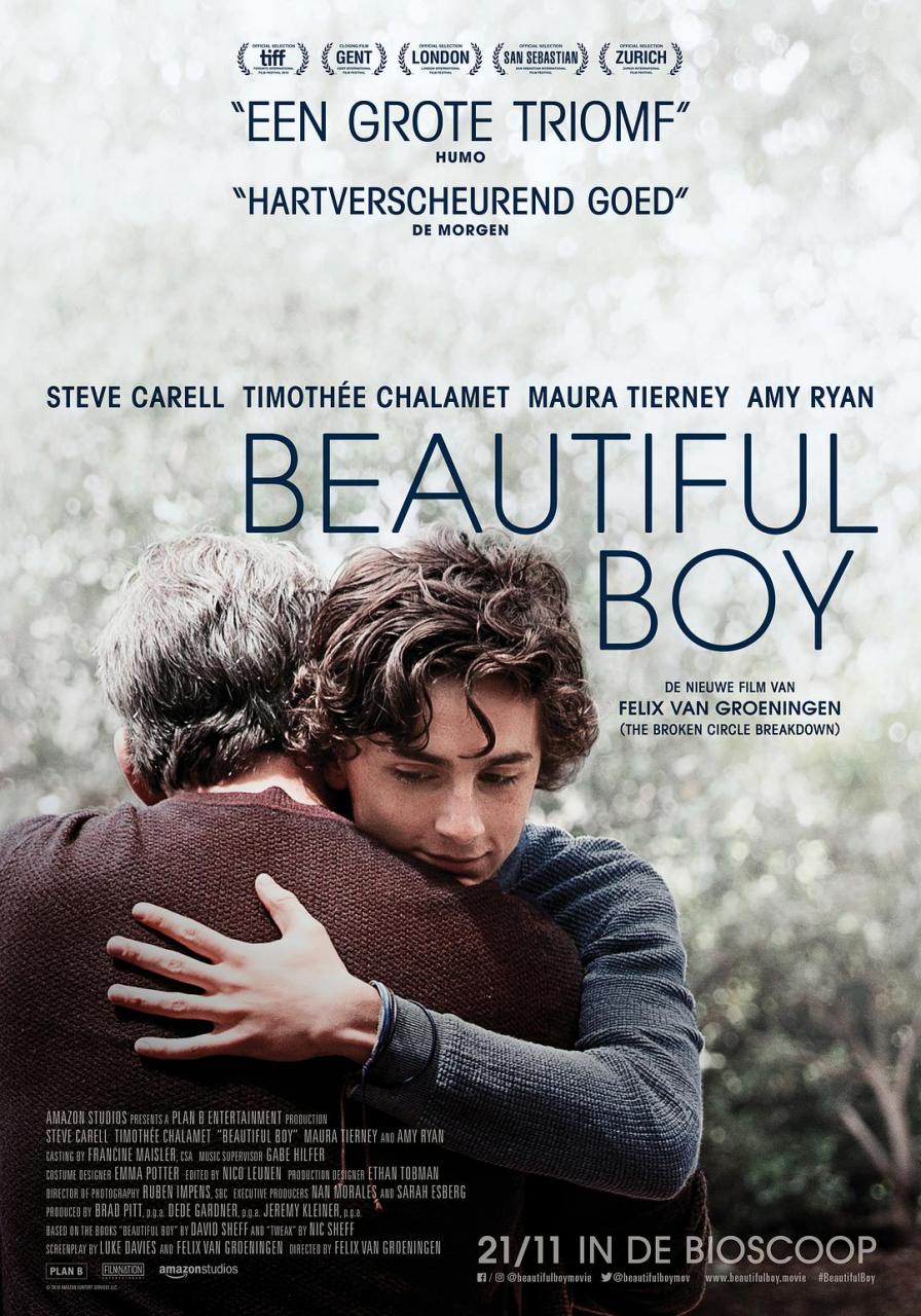 漂亮男孩 蓝光原盘下载+高清MKV版/美丽男孩(台) 2018 Beautiful Boy 36.6G