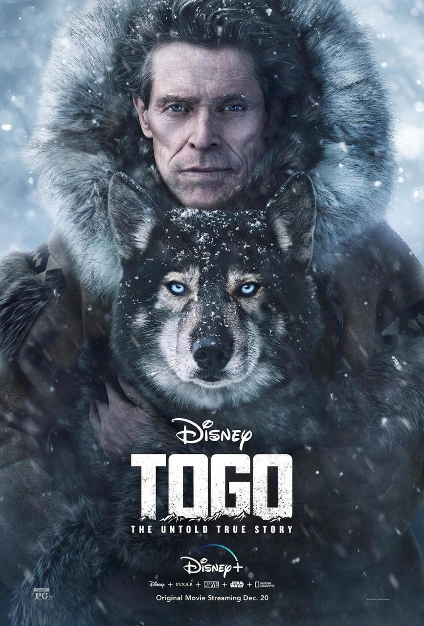 多哥 4K蓝光原盘下载+高清MKV版/Togo: The Untold True Story 2019 Togo 15.9G